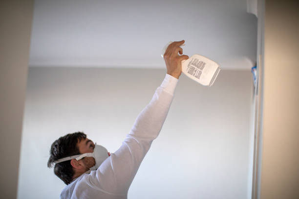 Best Basement Mold Remediation in Lemmon, SD