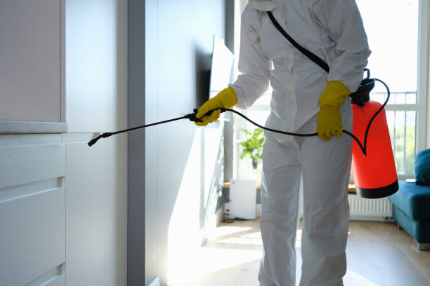 Best Mold Remediation for Specific Building Types in Lemmon, SD